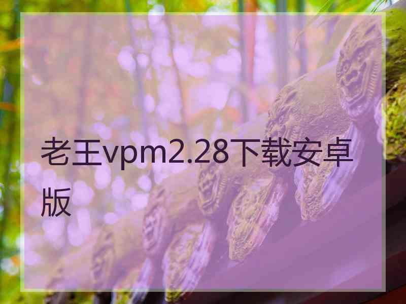 老王vpm2.28下载安卓版