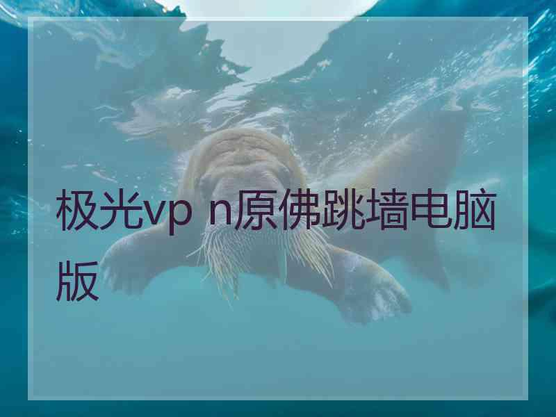 极光vp n原佛跳墙电脑版