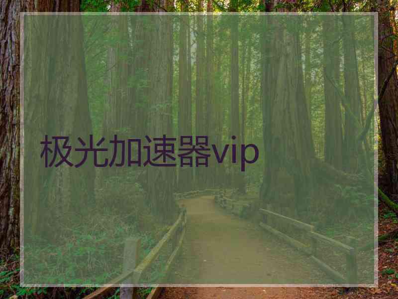 极光加速器vip