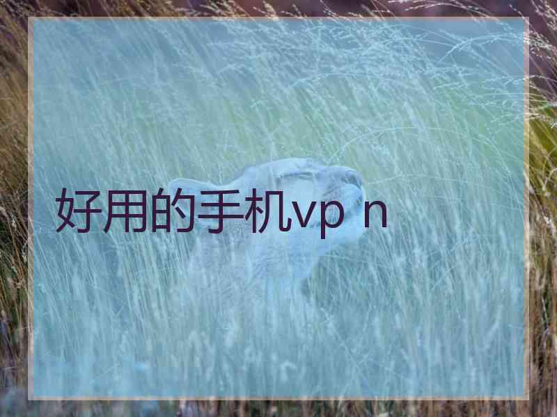 好用的手机vp n