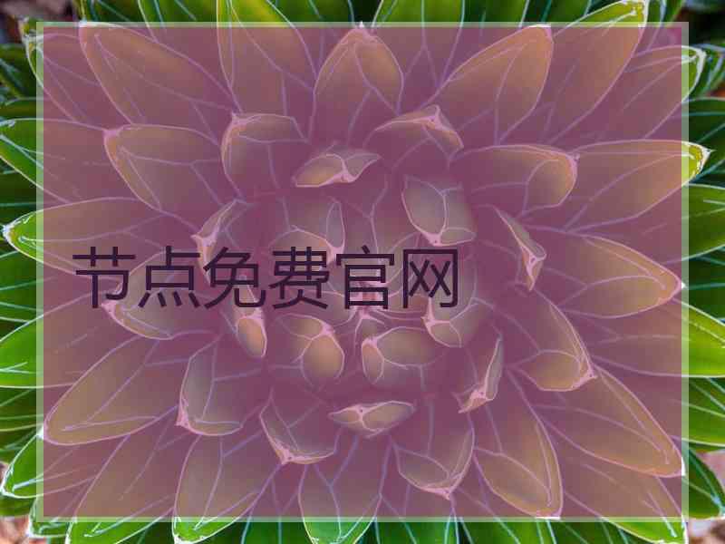 节点免费官网