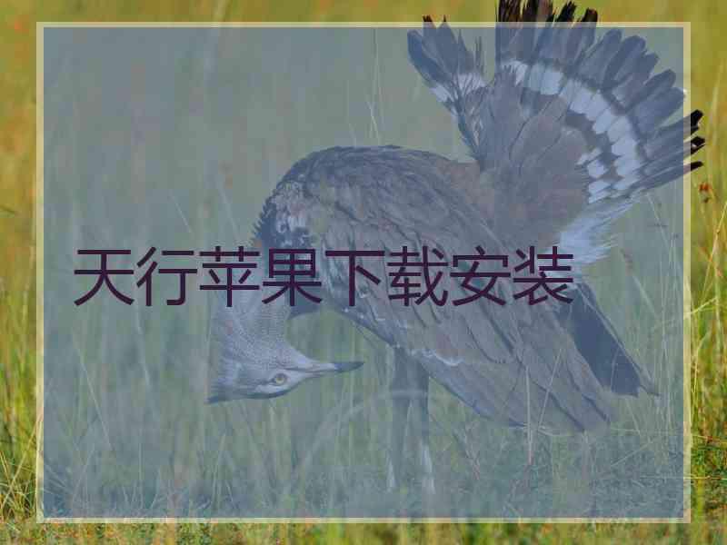 天行苹果下载安装