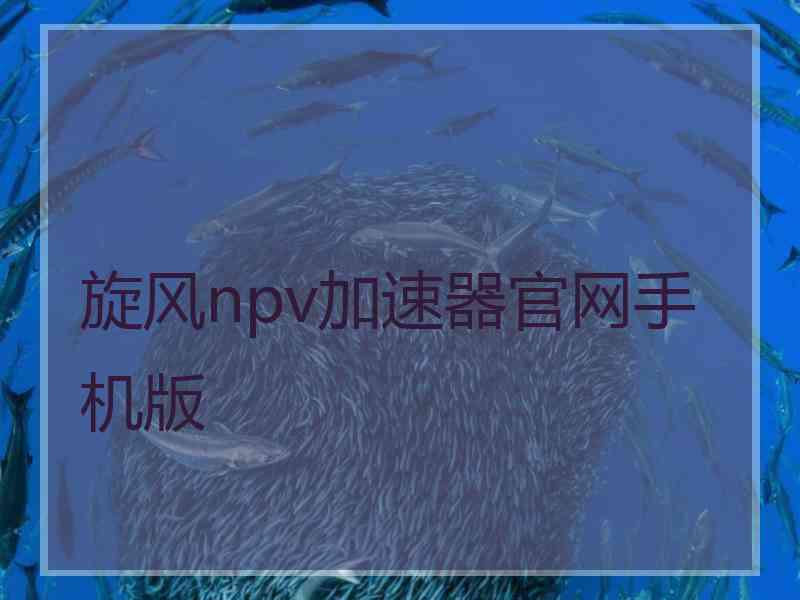 旋风npv加速器官网手机版