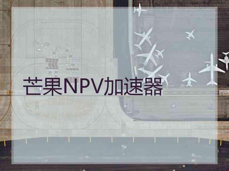 芒果NPV加速器