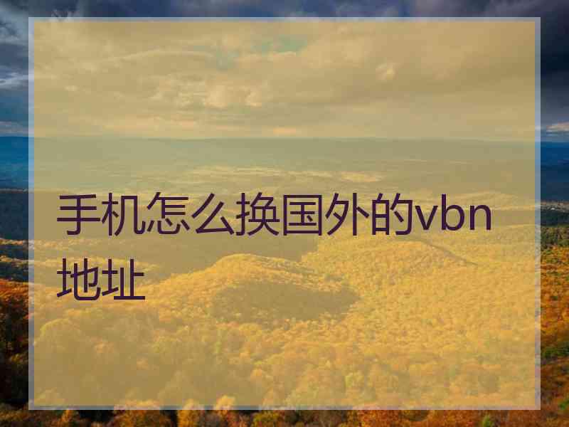 手机怎么换国外的vbn地址